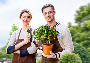 Проект «под ключ» где можно заказать по низкой цене  в Оренбурге
