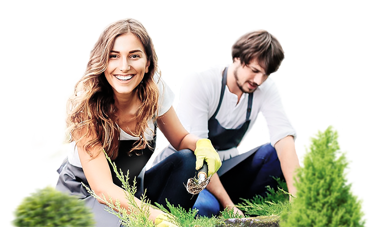 Озеленение и городское благоустройство, создание комфортной среды  куда обратиться и где заказать - в Камень Клуб