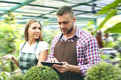 Дендроплан - верное планирование территории и решения этой задачи на уровне  в Оренбурге