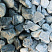 Kamenclub.ru: Щебень галтованный зеленый (змеевик) фр. 50-100 мм.  купить в Оренбурге галтовка мраморная зеленый, салатовый мрамор 12 500 руб/т   фото КАМЕНЬ КЛУБ