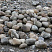 Kamenclub.ru: Речной валун (Ассорти) фр.100-300 мм.  купить в Оренбурге галечник серый, темно-серый, светло-серый речная галька крупных размеров 4200 руб/т   фото КАМЕНЬ КЛУБ