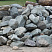 Kamenclub.ru: Гранит скальник (серо-зеленый) фр. 100-500 мм.  купить в Оренбурге гранит зеленый, серый, салатовый крупный ландшафтный валун 6 000 руб/т   фото КАМЕНЬ КЛУБ