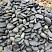 Kamenclub.ru: Темно-серый валунчик фр.100-300 мм.  купить в Оренбурге крупный природный камень серый, темно-серый, светло-серый речная галька большого размера окатанная 4500 руб/т   фото КАМЕНЬ КЛУБ