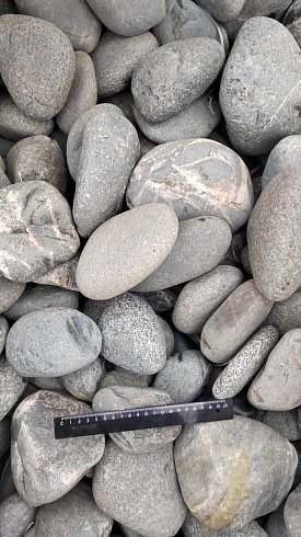 Kamenclub.ru: Галька речная окат (темно-серая) фр. 70-150 мм. купить  в Оренбурге галька речная темно-серая, синяя, серая речная галька округлая  8000 руб/т   фото КАМЕНЬ КЛУБ
