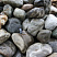 Kamenclub.ru: Речной валун Кабанчик фр.300-500 мм.  купить в Оренбурге крупный природный камень галька серый, темно-серый речной валун галечник масштабный 7000 руб/т   фото КАМЕНЬ КЛУБ