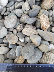 Kamenclub.ru: Галька речная окат (пестрая) фр. 20-40 мм. купить  в Оренбурге галька речная пестрая, серая, серые оттенки галька речная окатанная округлая 5000 руб/т   фото КАМЕНЬ КЛУБ