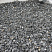 Kamenclub.ru: Щебень крошка черный (мрамор) фр. 10-20 мм.  купить в Оренбурге мрамор черный с белыми прожилками, черный, белый каменная ландшафтная декоративная крошка щебня 11000 руб/т   фото КАМЕНЬ КЛУБ