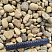 Kamenclub.ru: Галька речная окат рыжая фр. 20-40 мм. купить  в Оренбурге галька речная окатанная рыжая желтая серая округлая речная галька 5000 руб/т   фото КАМЕНЬ КЛУБ