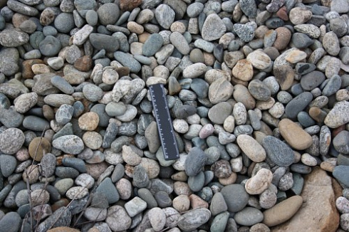 Kamenclub.ru: Галька речная окат (пестрая) фр. 20-40 мм. купить  в Оренбурге галька речная пестрая, серая, серые оттенки галька речная окатанная округлая 5000 руб/т   фото КАМЕНЬ КЛУБ