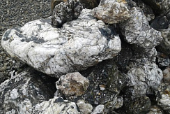 Kamenclub.ru: Черный гранит - кварцит фр. 100-500 мм.  купить в Оренбурге мрамор гранит черный с белыми прожилками, серый, белый валун скальный колотый 7000 руб/т   фото КАМЕНЬ КЛУБ