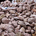 Kamenclub.ru: Розовый валунчик фр.100-300 мм.  купить в Оренбурге крупный природный камень розовый, серый молочный красный речной галечник природный 7850 руб/т   фото КАМЕНЬ КЛУБ