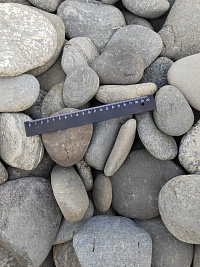 Kamenclub.ru: Галька речная плоская (серо-белая) фр. 70-120 мм. купить в Оренбурге галька галечник речной серый, белый окатанная плоская  природная галька 9000 руб/т   фото КАМЕНЬ КЛУБ