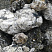 Kamenclub.ru: Черный гранит - кварцит фр. 100-500 мм.  купить в Оренбурге мрамор гранит черный с белыми прожилками, серый, белый валун скальный колотый 7000 руб/т   фото КАМЕНЬ КЛУБ