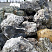 Kamenclub.ru: Черный гранит - кварцит фр. 500-1000 мм.  купить в Оренбурге гранит кварцит черный серый белый скальный колотый валун 9750 руб/т   фото КАМЕНЬ КЛУБ