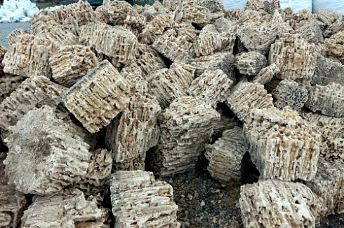 Kamenclub.ru: Крымский природный меотис фр. 100-500 мм.  купить в Оренбурге меотис бежевый рыжий молочный желтый ракушечник 4 500 руб/т   фото КАМЕНЬ КЛУБ