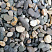 фото Галька крымская прибрежная фр. 10-20 мм. в интернет-портале КАМЕНЬ КЛУБ