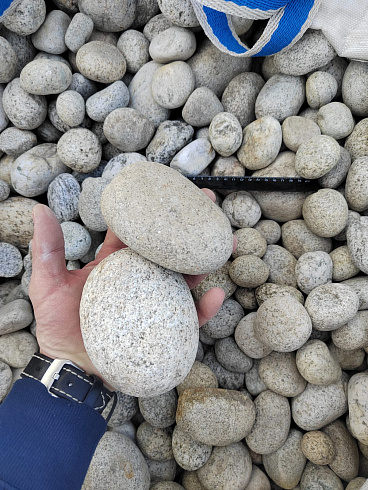 Kamenclub.ru: Галька речная окат (серо-белая) фр. 70-120 мм купить  в Оренбурге галька галечник бело-серая, серо-белая, серая, белая речная природная галька  8000 руб/т   фото КАМЕНЬ КЛУБ