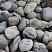 Kamenclub.ru: Темно-серый валунчик фр.100-300 мм.  купить в Оренбурге крупный природный камень серый, темно-серый, светло-серый речная галька большого размера окатанная 4500 руб/т   фото КАМЕНЬ КЛУБ