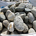 Kamenclub.ru: Речной валун (Ассорти) фр.100-300 мм.  купить в Оренбурге галечник серый, темно-серый, светло-серый речная галька крупных размеров 4200 руб/т   фото КАМЕНЬ КЛУБ
