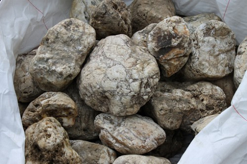 Kamenclub.ru: Кварцевый валунчик фр.100-300 мм.  купить в Оренбурге кварц белый, бежевый молочный рыжий крупный природный камень галечник 7850 руб/т   фото КАМЕНЬ КЛУБ