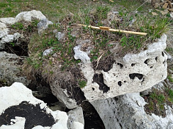 Kamenclub.ru: Выветренный известняк (степной) фр. 500-1500 мм.  купить в Оренбурге    10000 руб/т   фото КАМЕНЬ КЛУБ