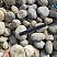 Kamenclub.ru: Галька речная окат (серо-белая) фр. 70-120 мм купить  в Оренбурге галька галечник бело-серая, серо-белая, серая, белая речная природная галька  8000 руб/т   фото КАМЕНЬ КЛУБ