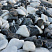 Kamenclub.ru: Мраморная крошка (щебень галтованный микс:: белый-черный) фр.20-40 мм  купить в Оренбурге мрамор белый, черный мраморный галтованный щебень 15500 руб/т   фото КАМЕНЬ КЛУБ