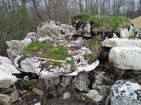 Kamenclub.ru: Выветренный известняк со мхом фр. 100-500 мм.  купить в Оренбурге известняк серый белый зеленый валун известняковый крупный 10000 руб/т   фото КАМЕНЬ КЛУБ