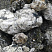 Kamenclub.ru: Черный гранит - кварцит фр. 100-500 мм.  купить в Оренбурге мрамор гранит черный с белыми прожилками, серый, белый валун скальный колотый 7000 руб/т   фото КАМЕНЬ КЛУБ