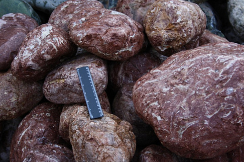 Kamenclub.ru: Розовый валунчик фр.100-300 мм.  купить в Оренбурге крупный природный камень розовый, серый молочный красный речной галечник природный 7850 руб/т   фото КАМЕНЬ КЛУБ