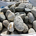 Kamenclub.ru: Речной валун (Ассорти) фр.100-300 мм.  купить в Оренбурге галечник серый, темно-серый, светло-серый речная галька крупных размеров 4200 руб/т   фото КАМЕНЬ КЛУБ