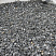 Kamenclub.ru: Щебень крошка черный (мрамор) фр. 5-10 мм.  купить в Оренбурге мрамор черный с белыми прожилками, черный, белый мраморная крошка декоративная ландшафтная 11000 руб/т   фото КАМЕНЬ КЛУБ