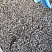 Kamenclub.ru: Галька речная окат (серая) фр.3-5 мм купить  в Оренбурге галька речная серая бежевый темно-серый окатанный речной камень округлый 9500 руб/т   фото КАМЕНЬ КЛУБ