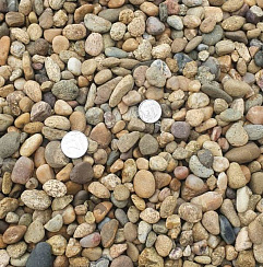 Kamenclub.ru: Галька окат (серо-желтая) фр.10-20 мм. купить  в Оренбурге галька серо-желтая, рыжая, серый речная окатанная округлая галька 5000 руб/т   фото КАМЕНЬ КЛУБ