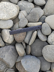 Kamenclub.ru: Галька речная плоская (ассорти) фр. 70-150 мм. купить в Оренбурге галька галечник серый белый темно-серый синий светло-серый плоская природная галька  9000 руб/т   фото КАМЕНЬ КЛУБ