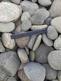 Kamenclub.ru: Галька речная плоская (ассорти) фр. 70-150 мм. купить в Оренбурге галька галечник серый белый темно-серый синий светло-серый плоская природная галька  9000 руб/т   фото КАМЕНЬ КЛУБ