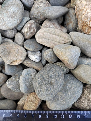 Kamenclub.ru: Галька речная окат (серая) фр.40-60 мм купить  в Оренбурге галька речная серый бежевый рыжий коричневый округлый речной камень 5000 руб/т   фото КАМЕНЬ КЛУБ