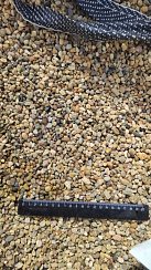 Kamenclub.ru: Галька окат (серо-желтая) фр.5-10 мм. купить  в Оренбурге галька речная рыжий, желтый, рыжий, серо-желтый речная окатанная галька декоративная 5000 руб/т   фото КАМЕНЬ КЛУБ