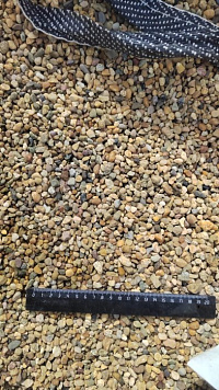 Kamenclub.ru: Галька окат (серо-желтая) фр.5-10 мм. купить  в Оренбурге галька речная рыжий, желтый, рыжий, серо-желтый речная окатанная галька декоративная 5000 руб/т   фото КАМЕНЬ КЛУБ