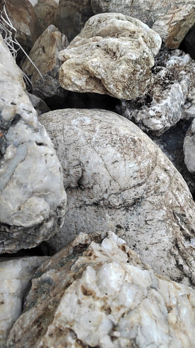 Kamenclub.ru: Кварцевый валунчик фр.100-300 мм.  купить в Оренбурге кварц белый, бежевый молочный рыжий крупный природный камень галечник 7850 руб/т   фото КАМЕНЬ КЛУБ