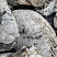 Kamenclub.ru: Кварцевый валунчик фр.100-300 мм.  купить в Оренбурге кварц белый, бежевый молочный рыжий крупный природный камень галечник 7850 руб/т   фото КАМЕНЬ КЛУБ