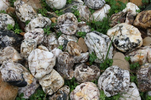 Kamenclub.ru: Кварцевый валунчик фр.100-300 мм.  купить в Оренбурге кварц белый, бежевый молочный рыжий крупный природный камень галечник 7850 руб/т   фото КАМЕНЬ КЛУБ