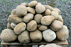Kamenclub.ru: Песчаник ядра, фр. 100-300 мм  купить в Оренбурге песчаник бежевый серый рыжий речная галька 5 000 руб/т   фото КАМЕНЬ КЛУБ