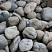 Kamenclub.ru: Речной валун (Ассорти) фр.100-300 мм.  купить в Оренбурге галечник серый, темно-серый, светло-серый речная галька крупных размеров 4200 руб/т   фото КАМЕНЬ КЛУБ