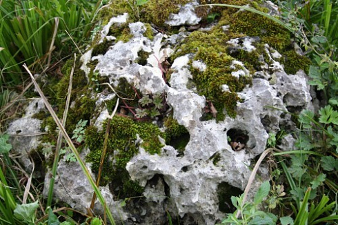 Kamenclub.ru: Выветренный известняк со мхом фр. 100-500 мм.  купить в Оренбурге известняк серый белый зеленый валун известняковый крупный 10000 руб/т   фото КАМЕНЬ КЛУБ