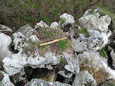 Kamenclub.ru: Выветренный известняк (степной) фр. 500-1500 мм.  купить в Оренбурге    10000 руб/т   фото КАМЕНЬ КЛУБ