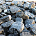 Kamenclub.ru: Щебень галтованный черный (мрамор) фр.20-40 мм.  купить в Оренбурге мрамор черный с белыми прожилками мрамор окатанный округлый 15000 руб/т   фото КАМЕНЬ КЛУБ