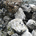 Kamenclub.ru: Черный гранит - кварцит фр. 100-500 мм.  купить в Оренбурге мрамор гранит черный с белыми прожилками, серый, белый валун скальный колотый 7000 руб/т   фото КАМЕНЬ КЛУБ