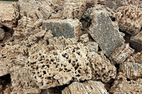 Kamenclub.ru: Крымский природный меотис фр. 100-500 мм.  купить в Оренбурге меотис бежевый рыжий молочный желтый ракушечник 4 500 руб/т   фото КАМЕНЬ КЛУБ