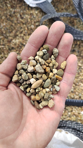 Kamenclub.ru: Галька окат (серо-желтая) фр.5-10 мм. купить  в Оренбурге галька речная рыжий, желтый, рыжий, серо-желтый речная окатанная галька декоративная 5000 руб/т   фото КАМЕНЬ КЛУБ